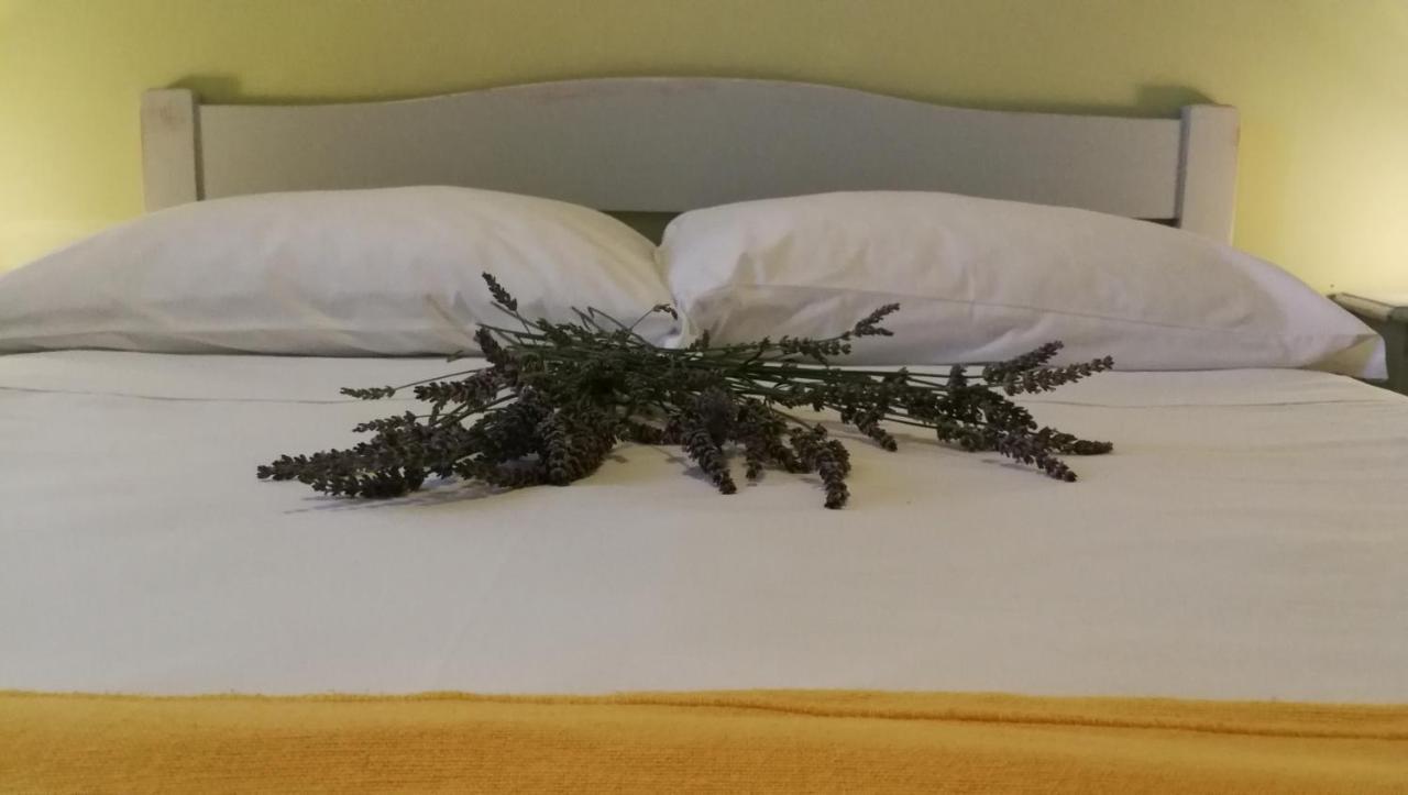 Moratto'S Apartments 乌马格 外观 照片